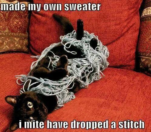 knitting kitty
