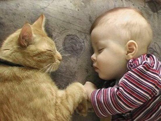baby and ginger cat