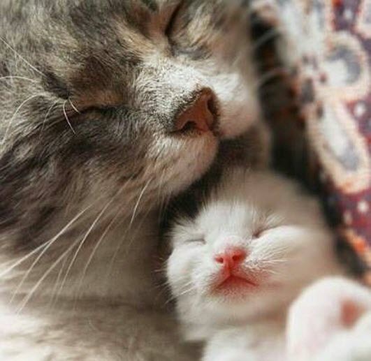 mum and baby