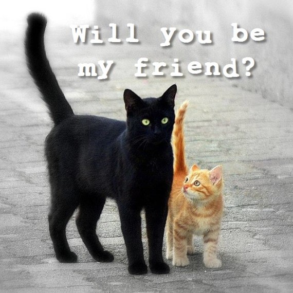 will you be my friend