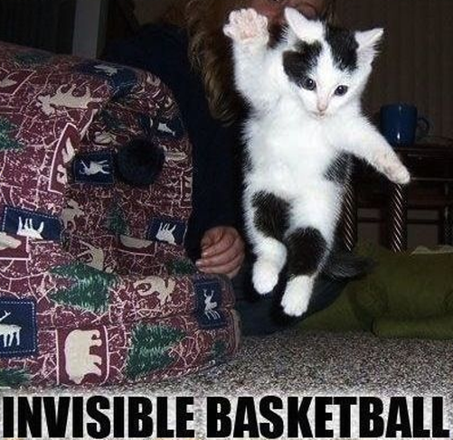 invisible explosion cat
