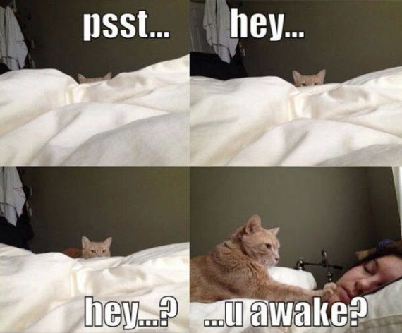 you awake again