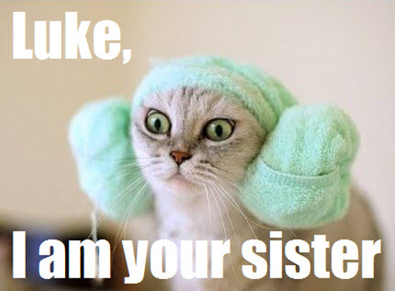 luke, I am your sister