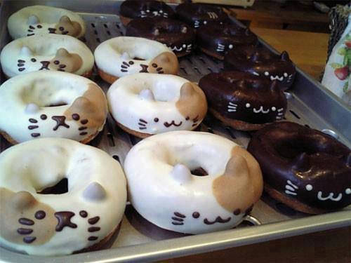 Kitty doughnuts