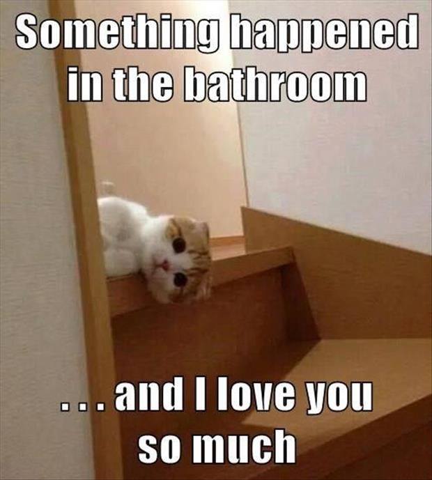 happened bathroom lol