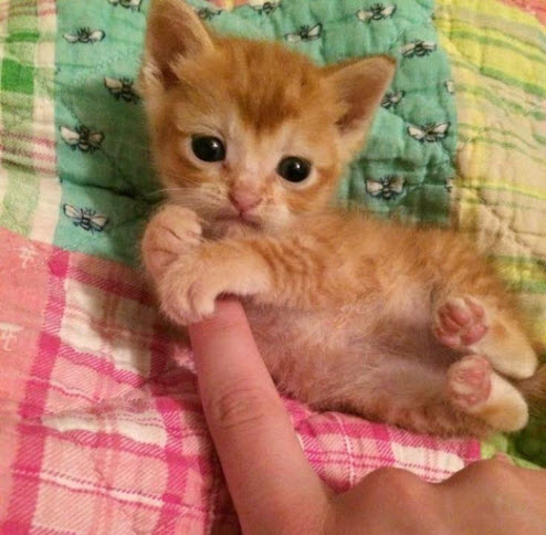 cute finger