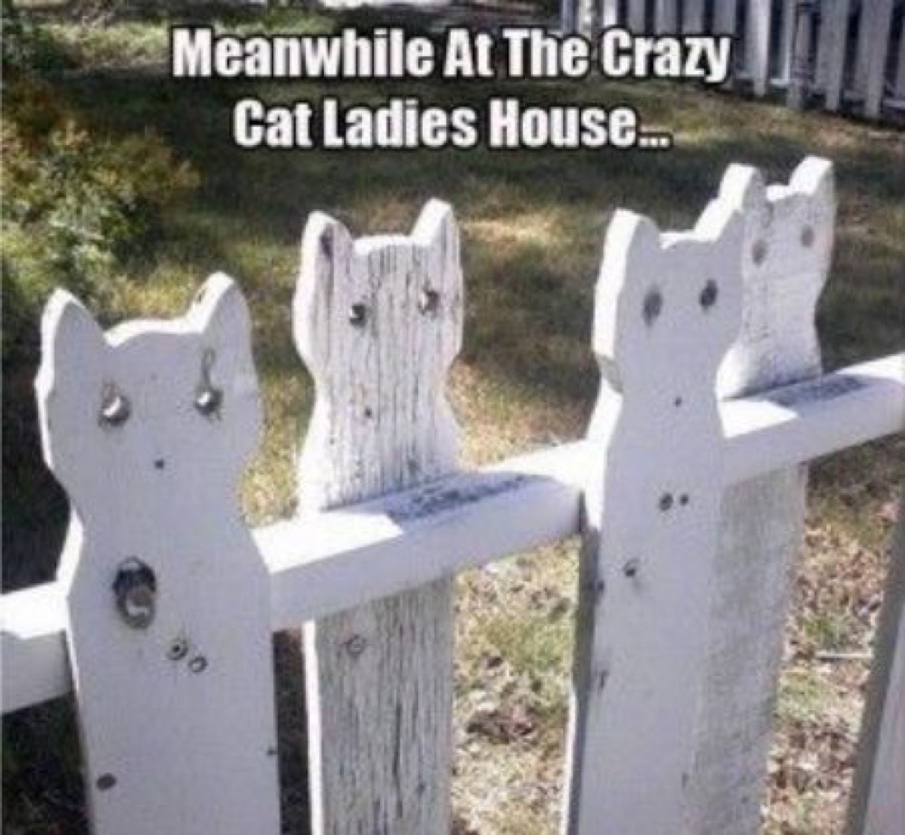 cat lady fence