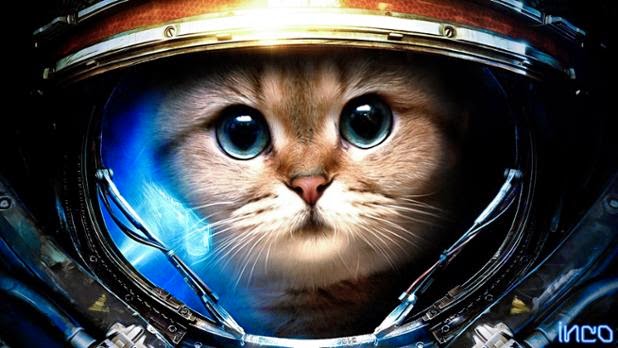space cat