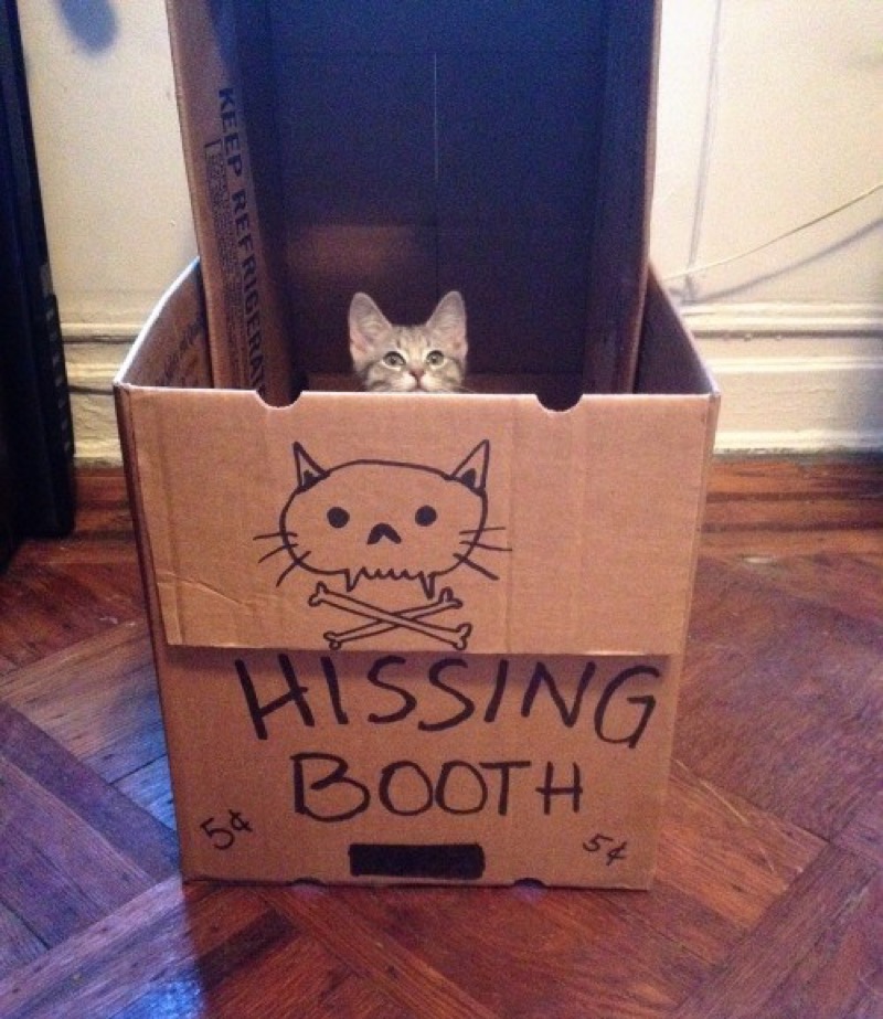 hissing booth