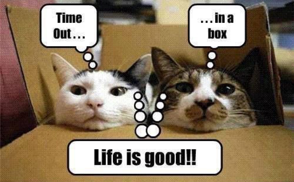 time out box lol