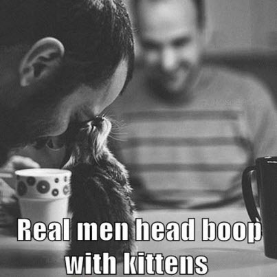 real men head boop