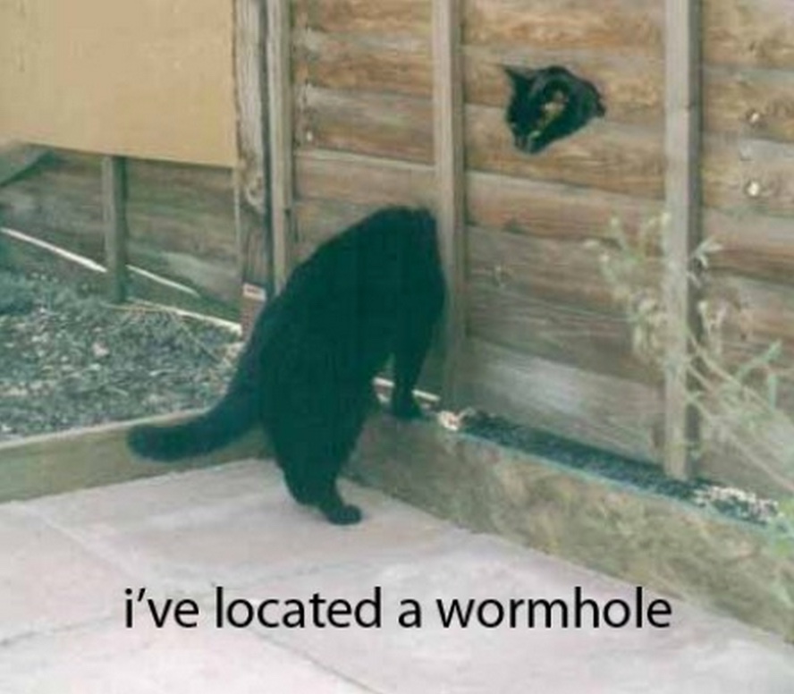 wormhole lol