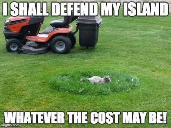 defend island lol