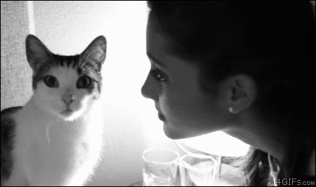 Cat-denies-Ariana-Grande-kiss