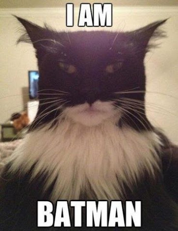 i am batman