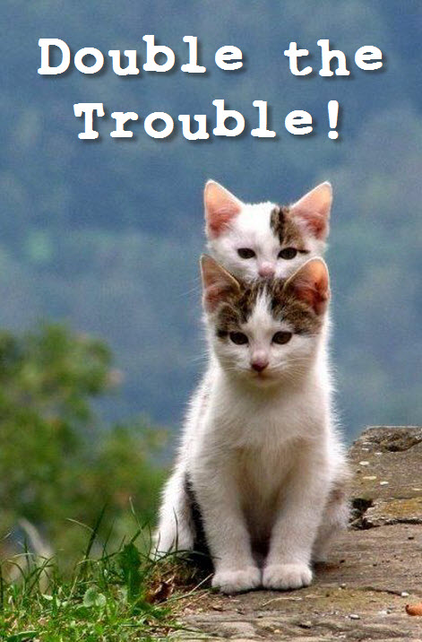 double trouble 2