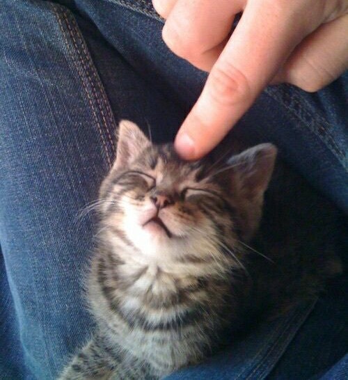 that's the spot