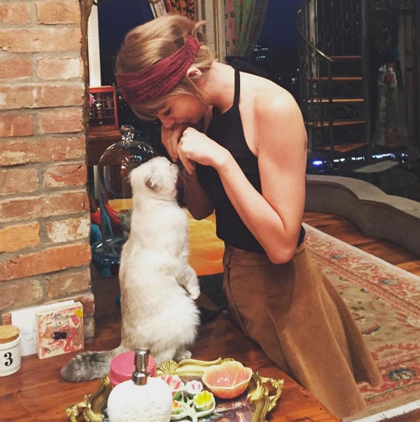 18 Reasons Taylor Swift Is The Ultimate Cat Lady We Love Cats And Kittens 