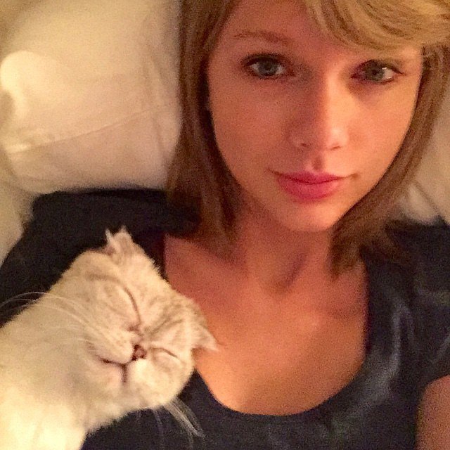 18 Reasons Taylor Swift Is The Ultimate Cat Lady We Love Cats And Kittens