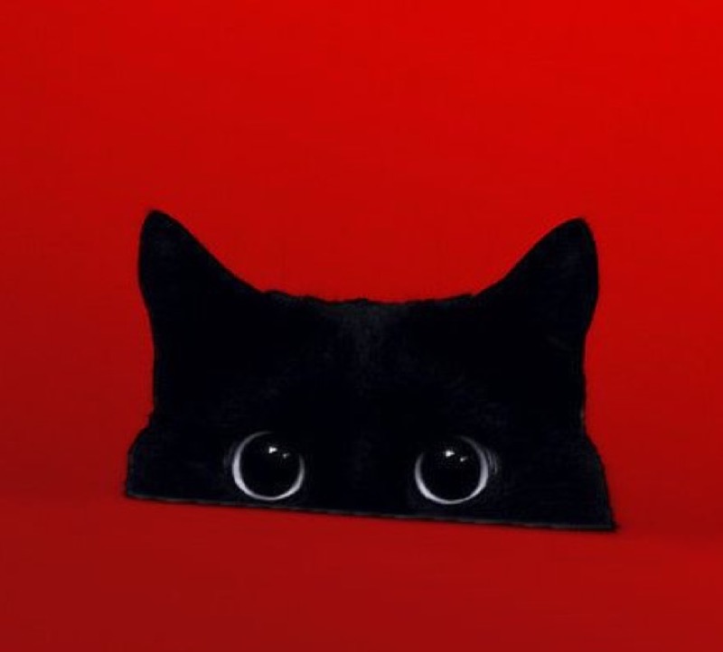 black-cats-rule-copy-3