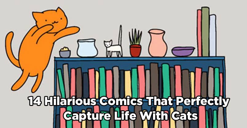 14 Hilarious Comics That Perfectly Capture Life With Cats We Love 