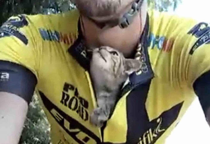 Cyclist Saves A Kittens Life And She Cant Stop Kissing Him We Love 8490