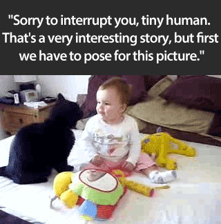 Sorry to interrupt you, tiny human