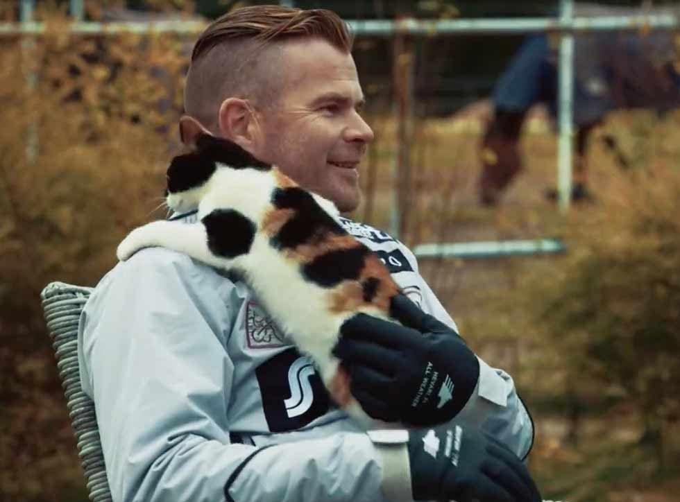 Friendly Cat Interrupts Tv Interview And Steals The Show We Love Cats