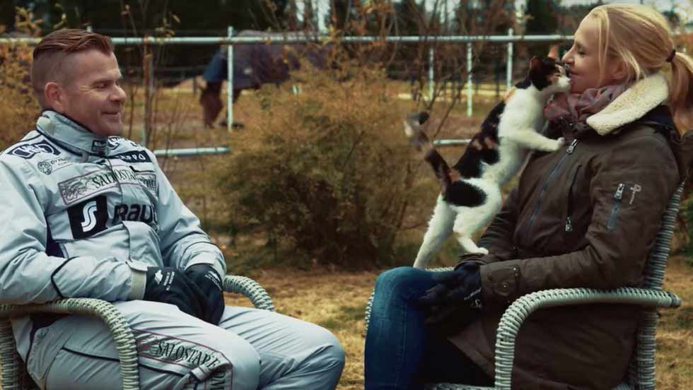 Friendly Cat Interrupts Tv Interview And Steals The Show We Love Cats