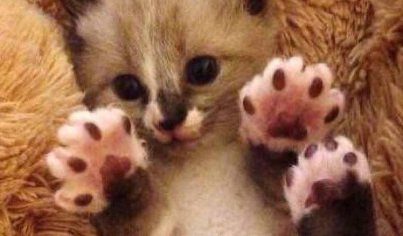 Jelly beans !!