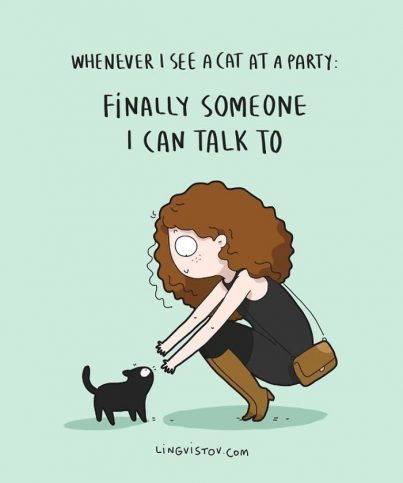 Hilarious Moments In The Life Of Every Cat Owner - We Love Cats and Kittens