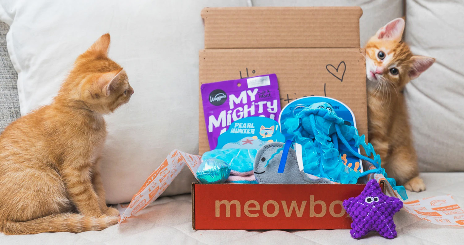 Meowbox-cat-subscription-box
