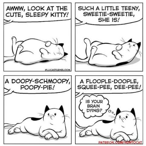 22 Hilarious Comics About The Reality Of Living With A Cat - We Love ...