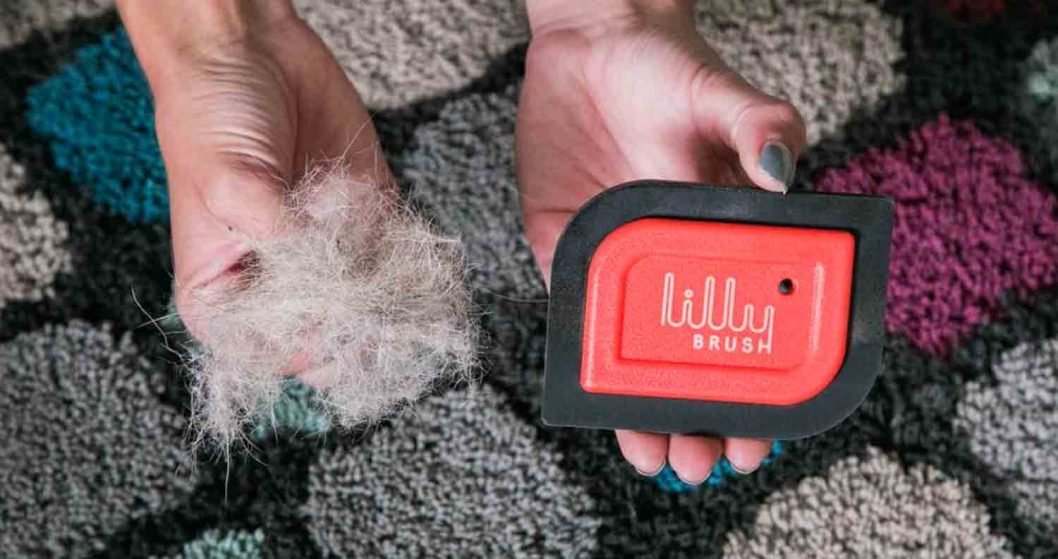 Lilly Brush Pet Hair Remover A Great Cat Hair Remover, or Not?