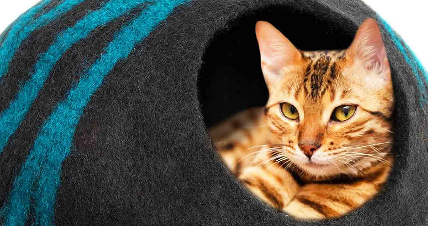 Meowfia Cat Cave Bed - The Best Felt Cat Bed? (Video Review)