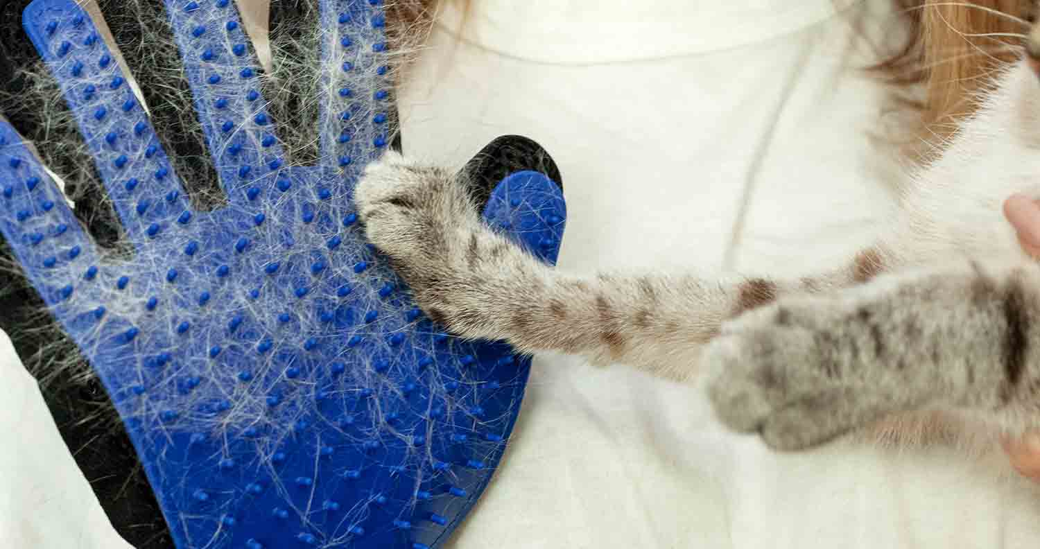 cat-paw-on-cat-hair-remover-glove