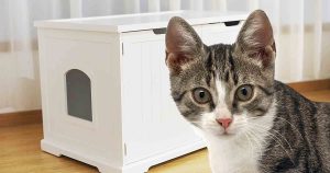 best-cat-litter-box-furniture