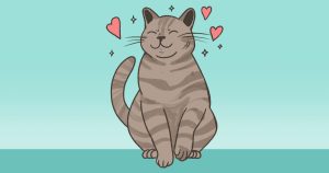cat owners guide for a healthy and happy cat