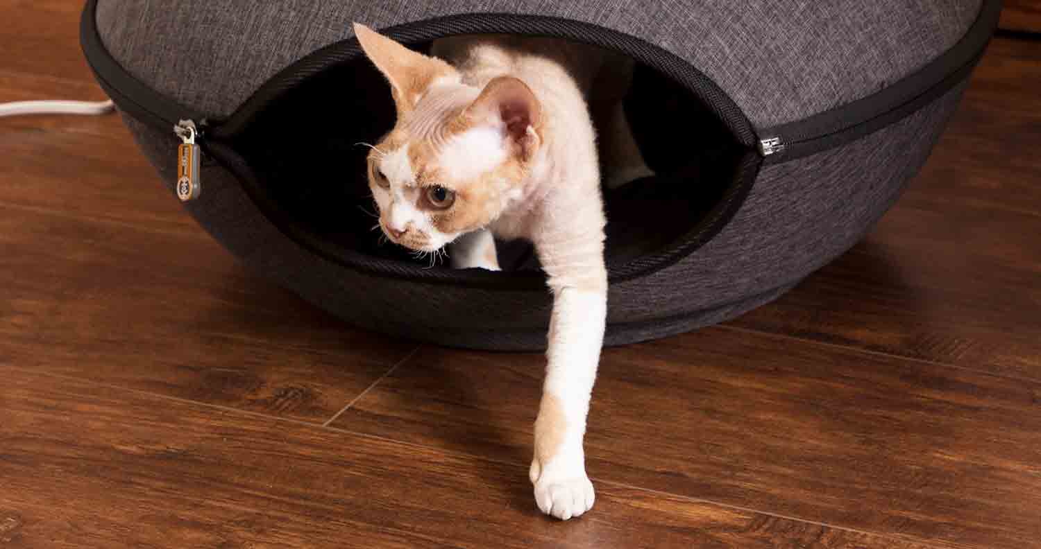 cat leaving a cat bed pod