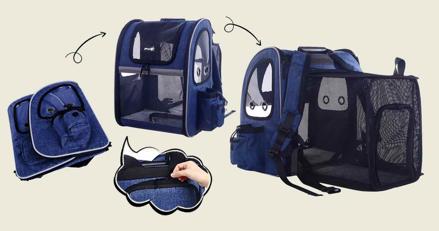 an image showing how the pecute cat carrier backpack works