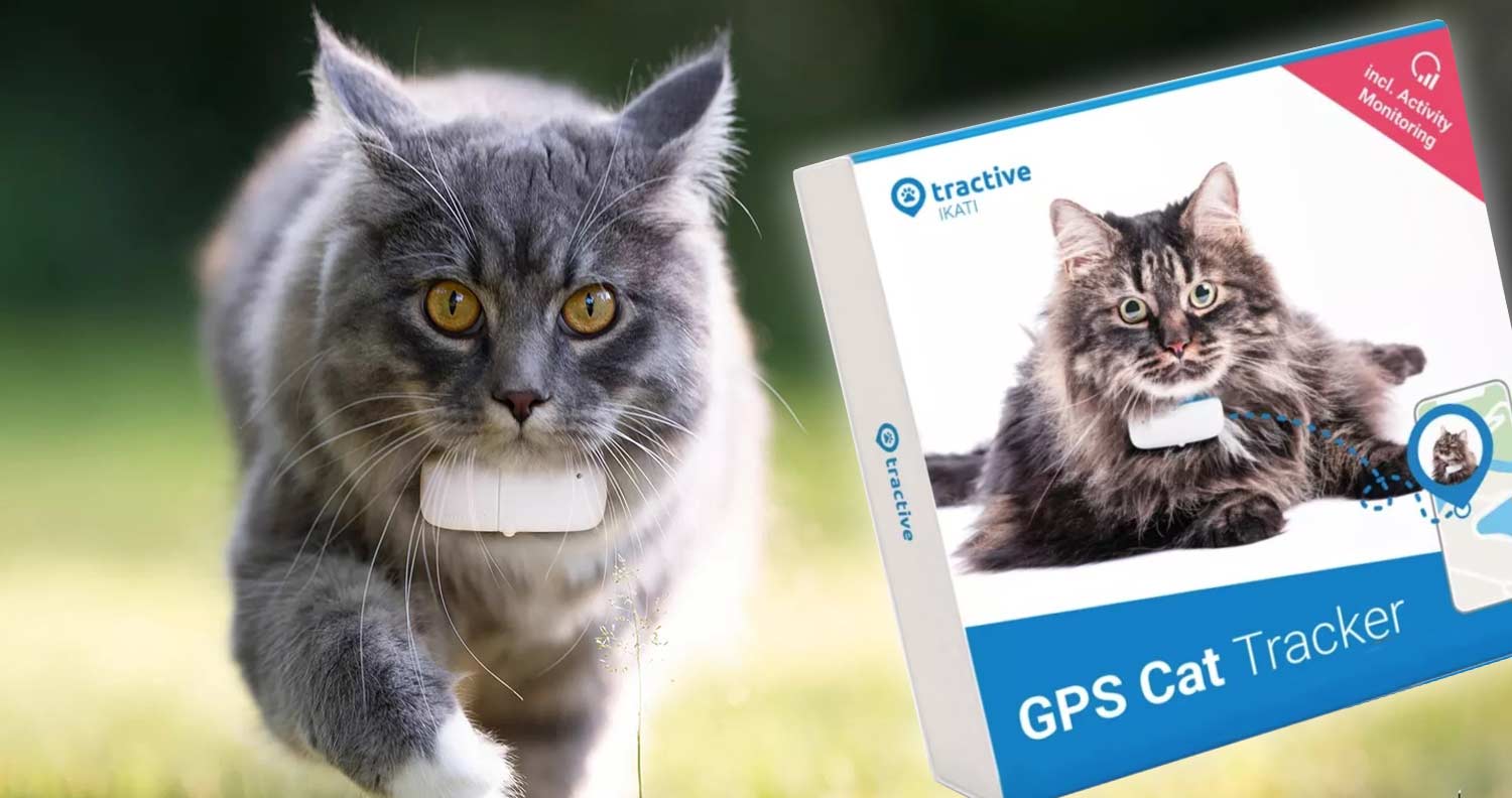 Honest Review of the Tractive GPS Cat Tracker - Love Cats