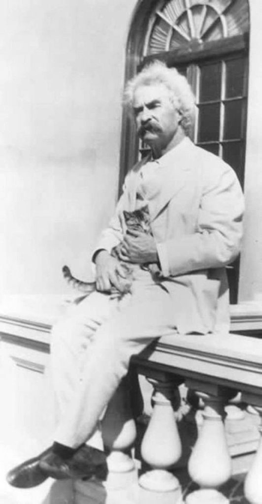 Mark Twain cat on lap