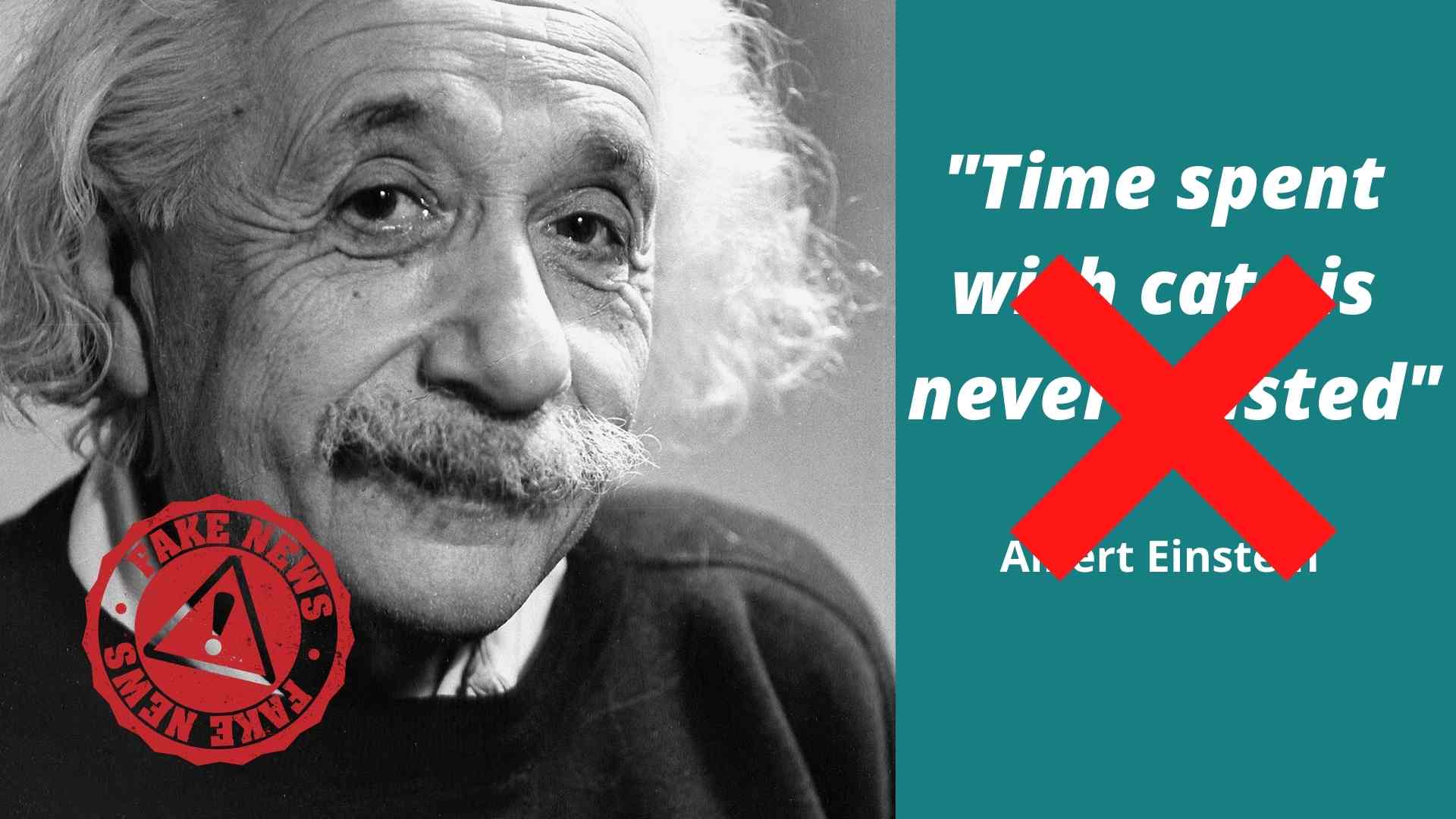albert einstein and a fake famous quote