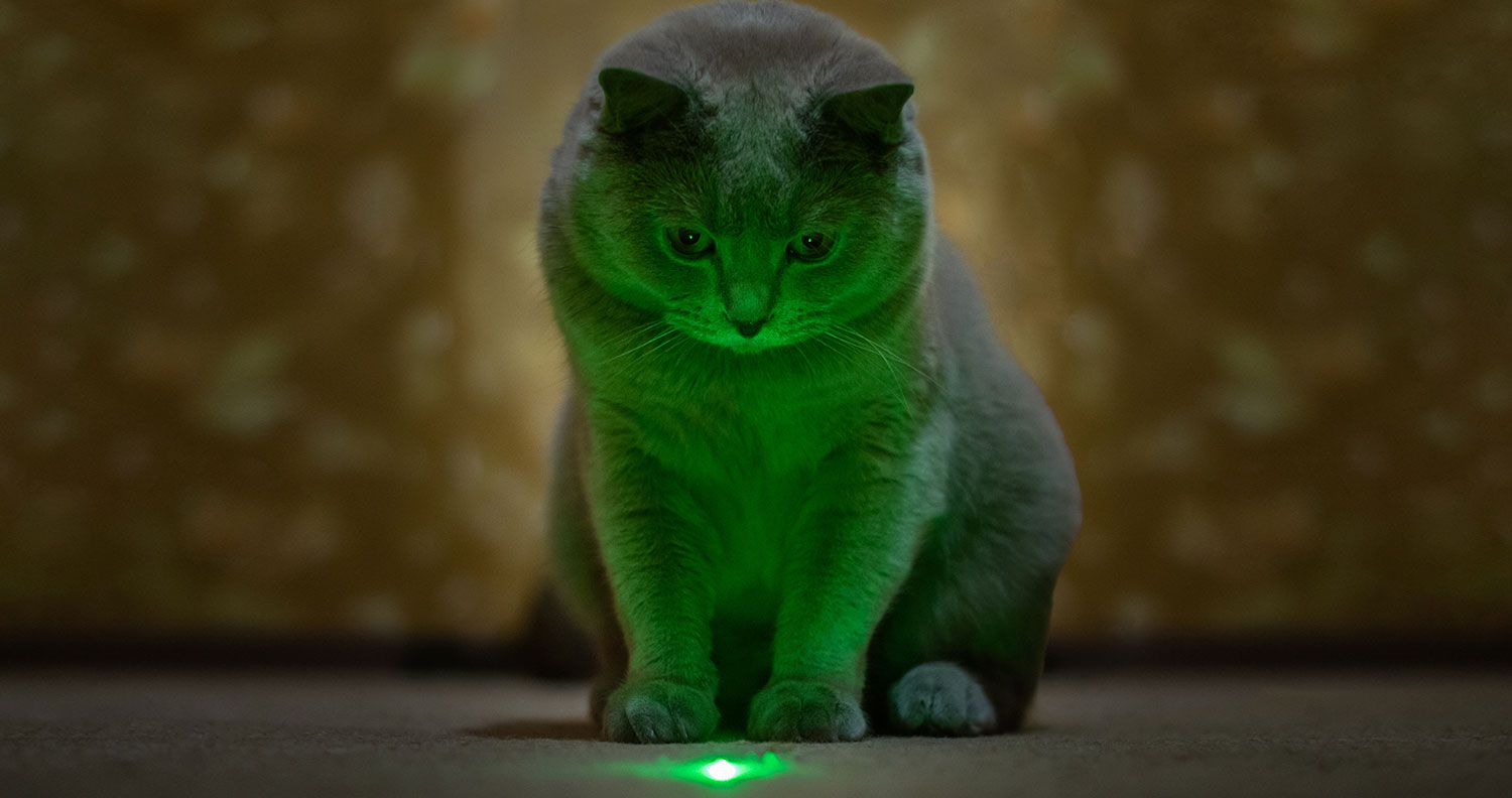 laser pointer for cats glowing dot