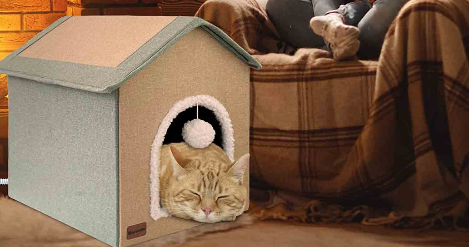 cat sleep in indoor cat house