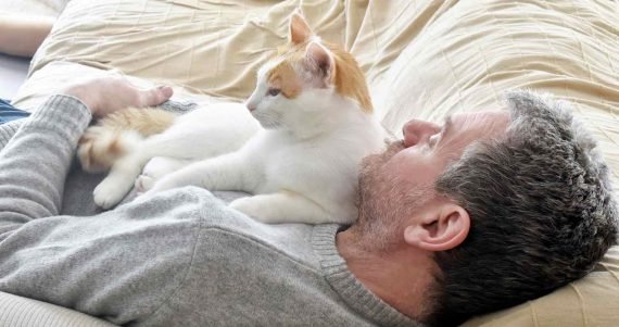Why Does My Cat Lay On My Chest? (Kitty's Top Place to Sit and Sleep)