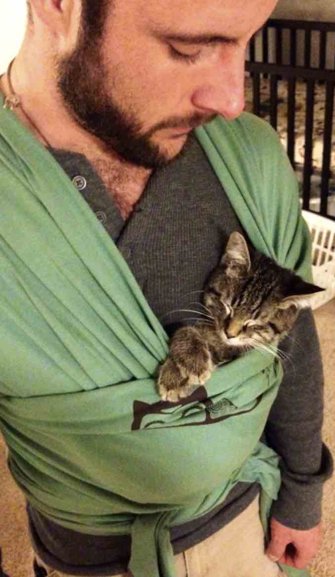 cat in sling
