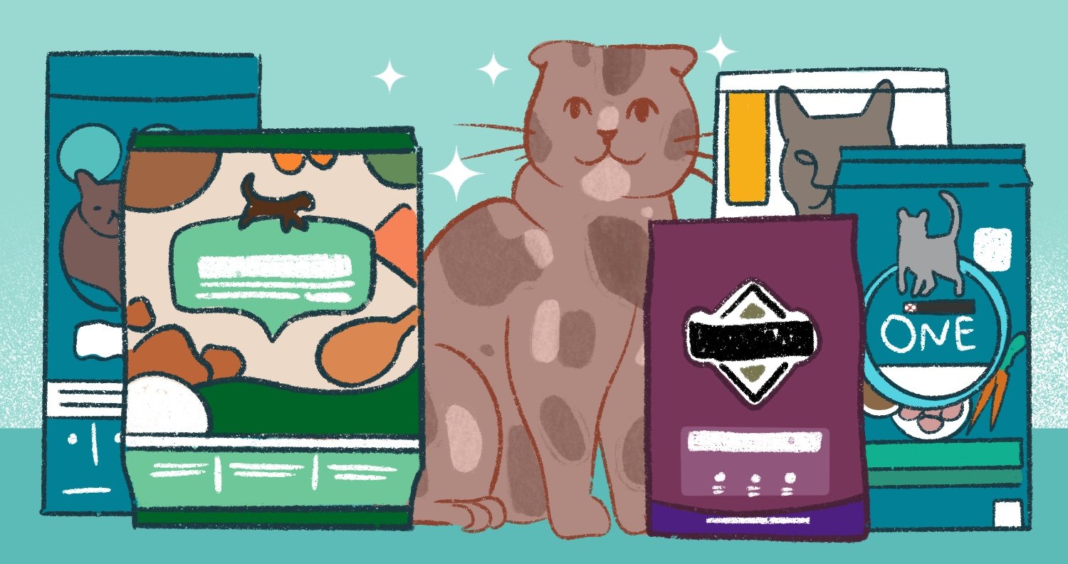 best dry cat food brands best dry cat food brands
