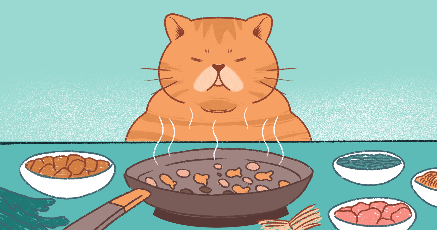 healthiest dry cat food healthiest dry cat food