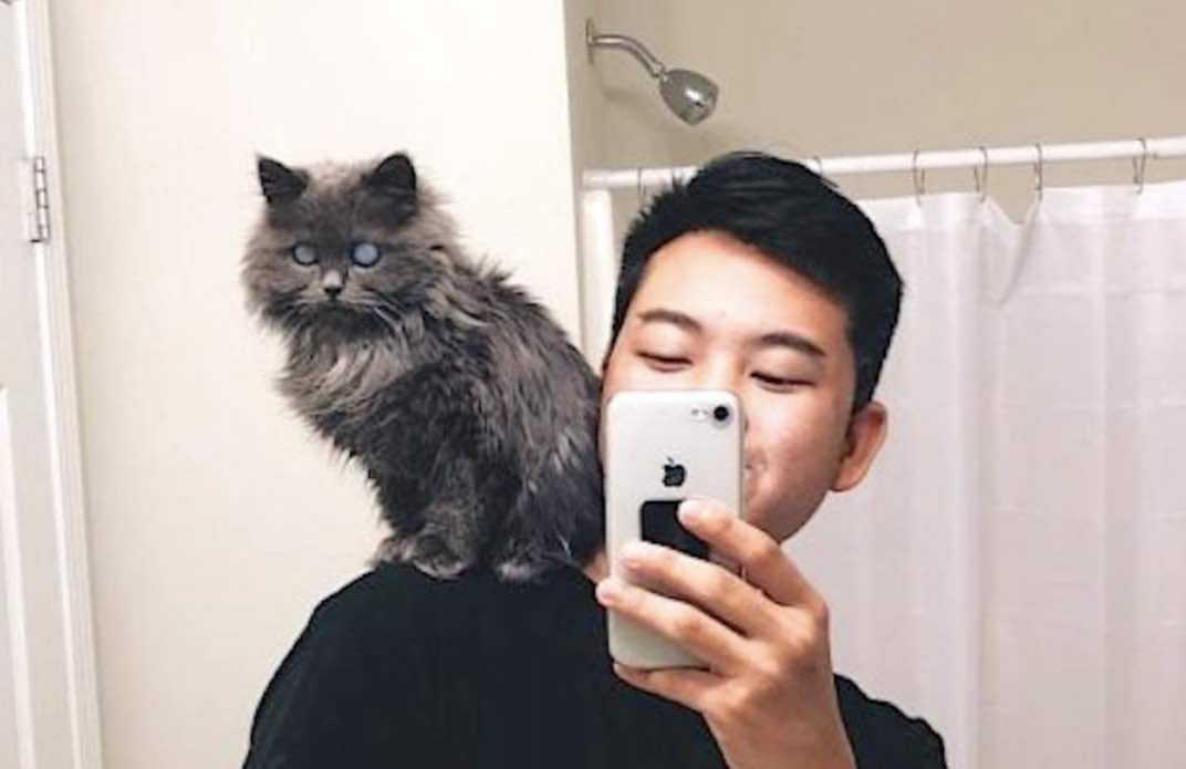blind kitty on shoulder